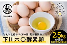 2.5kg 約45個（40個＋割れ補償5個） 約半世紀卵づくり一筋 ！『下川六〇酵素卵』 下川ろくまる あべ養鶏場 割れ補償付き たまご 玉子 タマゴ ふるさと 納税 国産 北海道産 北海道 下川町 F4G-0153