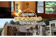 五味温泉宿泊券（1泊1名 朝夕食付） 天然炭酸泉温泉 北海道 下川町 F4G-0257