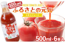 【食塩無添加】とまとジュース「ふるさとの元気」500ml 6本入 トマト 野菜 やさい 故郷 ふるさと 納税 国産 北海道産 北海道 下川町 F4G-0171