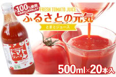 【食塩無添加】とまとジュース「ふるさとの元気」500ml 20本入 トマト 野菜 やさい 故郷 ふるさと 納税 国産 北海道産 北海道 下川町 F4G-0173