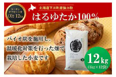 北海道下川町産強力粉はるゆたか100% 12kg バイオ炭施用 カーボン・オフセット付 F4G-0198