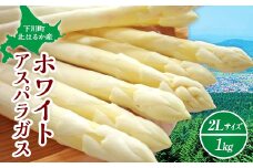 【先行予約】令和8年産 ホワイトアスパラガス（2Lサイズ） 1kg アスパラ 野菜 やさい ふるさと 納税 国産 北海道産 北海道 下川町 F4G-0285
