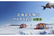 [№5795-0130]北海道朱鞠内 ワカサギ釣り回数券