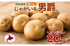 [№5795-0186]＜2025年秋以降出荷＞ 北海道 じゃがいも 男爵 M～L 約20kg 特別栽培 ジャガイモ 馬鈴薯 だんしゃく 芋 いも イモ ポテト 野菜 根菜 農作物 国産 甘い 冬野菜 お取り寄せ 産地直送 北海道産 送料無料