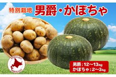 [№5795-0188] ＜2024年秋以降出荷＞ 北海道 じゃがいも 男爵 かぼちゃ計約15kg 詰め合わせ ジャガイモ カボチャ だんしゃく 南瓜 農作物  ホクホク 甘い 人気 お取り寄せ 産地直送 北海道産