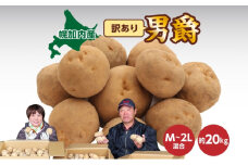 [№5795-0180]北海道産 訳あり じゃがいも 男爵 M～2L 約20kg ジャガイモ 馬鈴薯 ポテト キタアカリ 芋 いも イモ 旬 冬 農作物 訳アリ 規格外 家庭用 北海道 お取り寄せ 産地直送 笠井ファーム 送料無料 幌加内