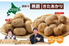 [№5795-0183]北海道産 訳あり じゃがいも 男爵 きたあかり M～2L 各約10kg 計約20kg ジャガイモ 馬鈴薯 ポテト 芋 いも イモ 旬 冬 農作物 訳アリ 規格外 北海道 お取り寄せ 産地直送 笠井ファーム 送料無料 幌加内