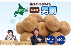 [№5795-0281] 北海道産 訳あり 越冬 じゃがいも 男爵 M～2L 約10kg ジャガイモ 馬鈴薯 ポテト キタアカリ 芋 いも イモ 旬 冬 農作物 訳アリ 規格外 家庭用 北海道 お取り寄せ 産地直送 笠井ファーム 送料無料 幌加内 野菜