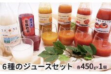 [№5795-0305]6種のジュースセット