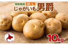 [№5795-0374]＜2025年秋以降出荷＞ 北海道 じゃがいも 男爵 M～L 約10kg 特別栽培 ジャガイモ 馬鈴薯 だんしゃく 芋 いも イモ ポテト 野菜 根菜 農作物 国産 甘い 冬野菜 お取り寄せ 産地直送 北海道産 送料無料