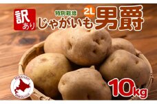 [№5795-0380]＜2025年秋以降出荷＞北海道 訳あり 特別栽培 じゃがいも 男爵 2L 約10kg ジャガイモ 馬鈴薯 芋 野菜 根菜 旬 冬野菜 北海道産 国産 生 ポテト 甘い ホクホク 農作物 訳アリ 規格外 20キロ お取り寄せ 産地直送 食材 