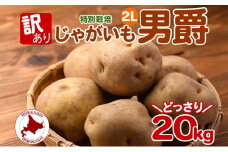 [№5795-0381]＜2025年秋以降出荷＞北海道 訳あり 特別栽培 じゃがいも 男爵 2L 約20kg ジャガイモ 馬鈴薯 芋 野菜 根菜 旬 冬野菜 北海道産 国産 生 ポテト 甘い ホクホク 農作物 訳アリ 規格外 20キロ お取り寄せ 産地直送 食材 