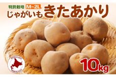 [№5795-0382]＜2025年秋以降出荷＞北海道 特別栽培 じゃがいも きたあかり M～2L 約 10kg ジャガイモ 馬鈴薯 芋 いも イモ ポテト 野菜 根菜 旬 北海道産 国産 生 冬野菜 農作物 10キロ お取り寄せ 産地直送 畑農場