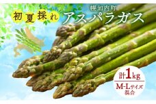 [№5795-0391]北海道 アスパラガス 約150g×7束 計1kg以上 M-L混合 初夏採れ グリーン アスパラガス 野菜 緑 アスパラ 新鮮 旬 初夏 国産 甘い 小分け お取り寄せ 産地直送 蔵前農園 送料無料