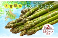 [№5795-0392]北海道 アスパラガス 北海道 アスパラガス 約150g×14束 計2kg 以上 M-L混合 初夏採れ グリーン アスパラガス 野菜 緑 アスパラ 新鮮 旬 初夏 国産 甘い 小分け お取り寄せ 産地直送 蔵前農園 送料無料