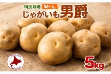 [№5795-0398]＜2025年秋以降出荷＞ 北海道 じゃがいも 男爵 M～L 約5kg 特別栽培 ジャガイモ 馬鈴薯 だんしゃく 芋 いも イモ ポテト 野菜 根菜 農作物 国産 甘い 冬野菜 お取り寄せ 産地直送 北海道産 送料無料
