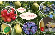 7-060-006　秋香園の果物定期便
