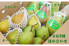 7-014-014　山口さんちの洋梨 3種詰め合わせ 5kg【9月下旬～発送】
