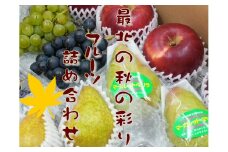 7-014-015　山口さんちの旬なフルーツ詰合わせ【10月～発送】