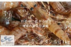 7-028-003　冷凍ボタンエビ 1kg（34尾～46尾入）