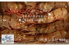 7-022-002　冷凍ボタンエビ 900g（39尾～54尾）