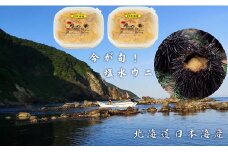 7-016-001　塩水うに 200g（キタムラサキウニ）8月6日受付終了