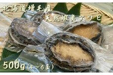 7-024-003　北海道増毛産天然蝦夷あわび500g（4～6玉）【道内冷蔵発送限定】