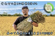 7-035-005　増毛町産特別栽培米ゆめぴりか 10kg（10月～発送）【成澤ライスファーム】