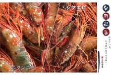 7-018-006　ボタンエビ・しまえびセット 各500g