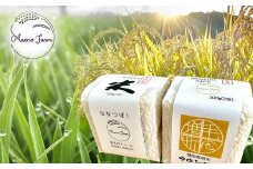 7-008-010　新米・真空パックキューブ米＜無洗米＞ 食べ比べ 600g ゆめぴりか×ななつぼし（10月～発送）【前野ファーム】