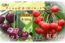 6-015-026　【R7先行予約】さくらんぼ食べ比べセット 各500g（サミット・紅秀峰）【マルゼン佐藤果樹園】