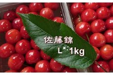 6-012-086　【R7先行予約】山口さんちのさくらんぼ 佐藤錦（L）1kg 