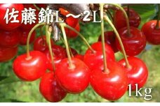 6-010-029　【R7先行予約】冨野果樹園のさくらんぼ 佐藤錦（L～2L）1kg