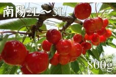 6-015-025　【R7先行予約】冨野果樹園のさくらんぼ 南陽（2L～3L）800g