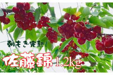 6-013-015　【R7先行予約】ヤマセン仙北果樹園のさくらんぼ 佐藤錦（L～2Lサイズ）たっぷり1.2kg