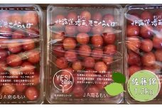 6-013-017　【R7先行予約】尾久果樹園のさくらんぼ 佐藤錦（L）1.2kg