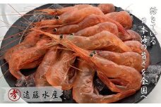 7-007-001　甘えび 500g（40尾前後）