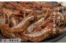 7-008-005　ボタンエビ 500g（30尾前後）