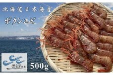 7-015-002　冷凍ボタンエビ 500g（約20尾）