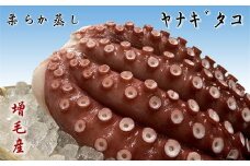7-010-006　柔らか蒸しヤナギタコ 1kg