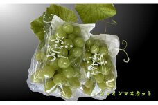 7-014-026　サトケンさんのシャインマスカット2kg（2～3房）