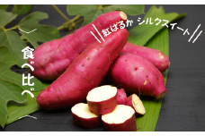 7-005-009　さつまいも食べ比べ（紅はるか・シルクスイート）2kg【マルゼン佐藤果樹園】