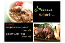 小平牛手造りハンバーグ・ビーフカレーセット