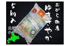 【令和6年産】ゆきさやか５㎏