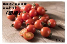 【令和7年産先行受付】北海道とままえ産ミニトマト「愛果」2kg