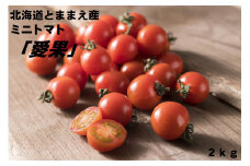 【令和7年産】北海道とままえ産ミニトマト「愛果」2kg