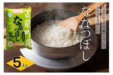 【令和6年産】北海道とままえ産ななつぼし　5kg