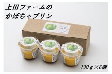 上田ファームのかぼちゃプリン　100g×6個