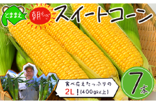 【令和7年産】北海道とままえ産スイートコーン　7本 （先行予約　北海道産　とうもろこし　とうきび　朝どれ　朝もぎ　旬　新鮮　送料無料　冷蔵）