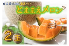 【令和7年産】とままえメロン　2玉（先行予約　北海道産　赤肉　糖度14度　甘い　フルーツ　果物　デザート　送料無料）